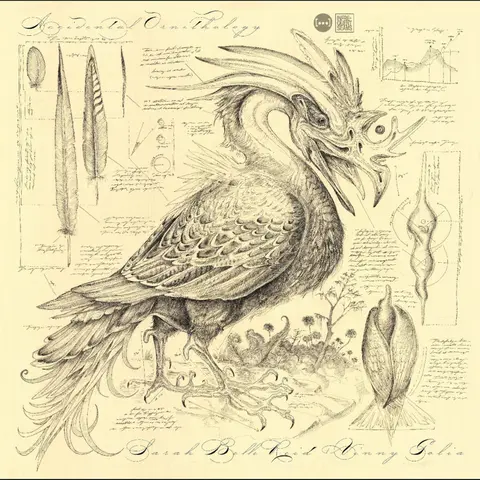 ACCIDENTAL ORNITHOLOGY