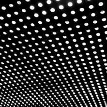 Beach House, Vinyl BLOOM