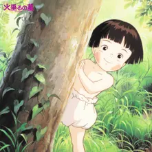 Vinyl GRAVE OF THE FIREFLIES