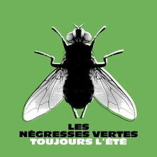 Les Négresses Vertes, Vinyl TOUJOURS L'ETE