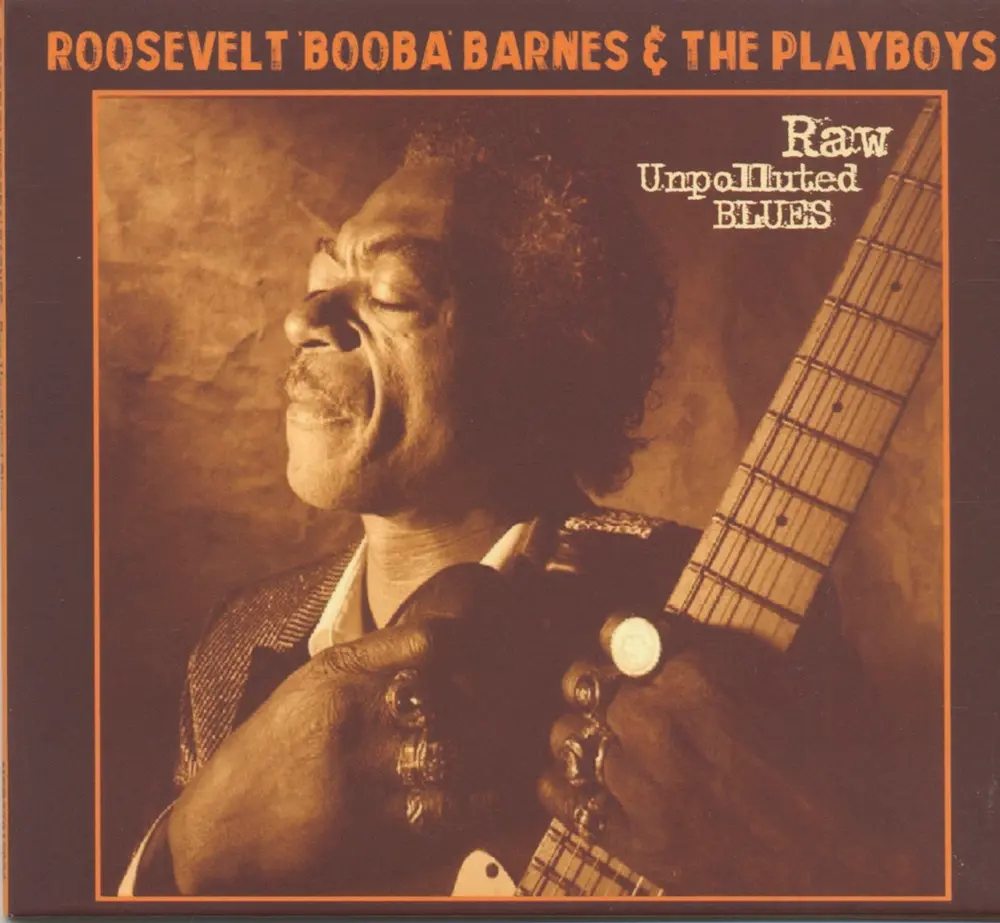 RAW UNPOLLUTED BLUES (CD)