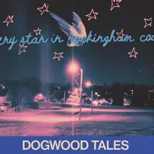 EVERY STAR IN ROCKINGH... thumbnail