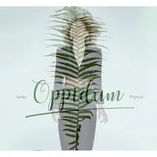 OPPIDUM thumbnail