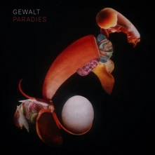 GEWALT, Vinyl PARADIES