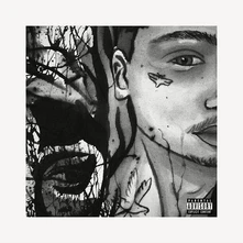 CD ADHDKIDD