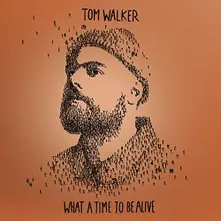 Tom Walker – WALKER, TOM - What a Time To Be Alive (Deluxe Edition) (CD)