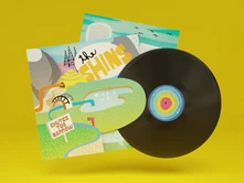 The Shins, Vinyl CHUTES TOO NARROW