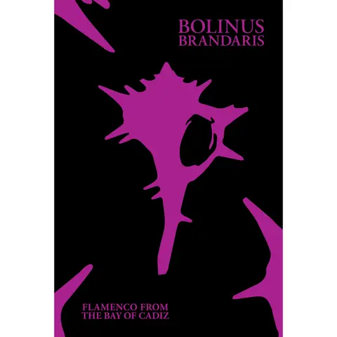 BOLINUS BRANDARIS: FLAMENCO FROM THE BAY OF CADIZ