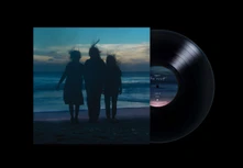 Boygenius, Vinyl REST