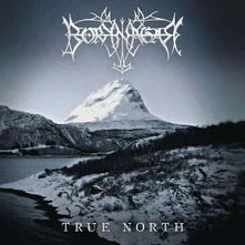 Borknagar, CD True North