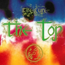 Vinyl THE TOP