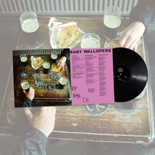 Vinyl PADDYWHACKERY