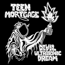 Teen Mortgage, CD DEVIL ULTRASONIC DREAM