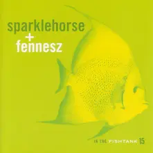 SPARKLEHORSE & FENNESZ - IN THE FISHTANK 15 thumbnail