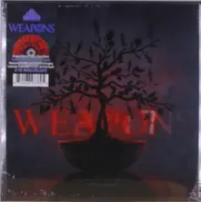 Ryan Holladay and Hays Holladay, Vinyl WEAPONS
