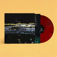 Gilla Band, Vinyl PUGNELLO