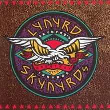 SKYNYRD'S INNYRDS thumbnail