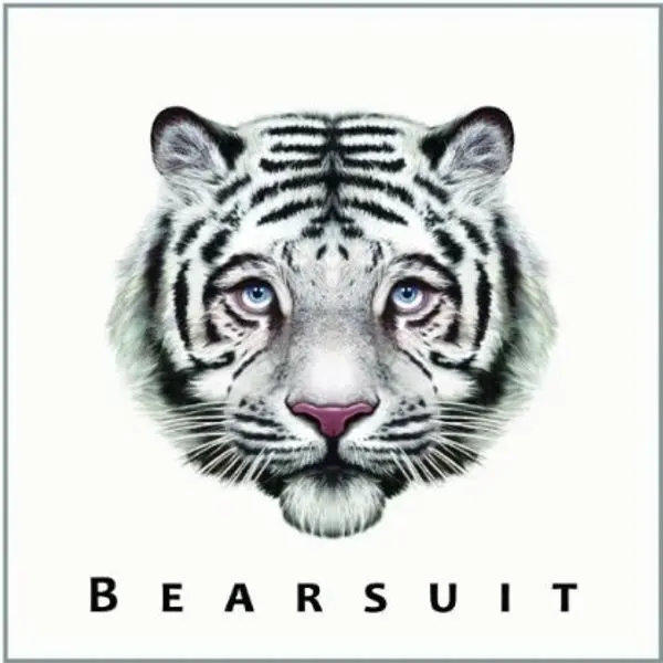 Bearsuit – PHANTOM FOREST (Vinyl)