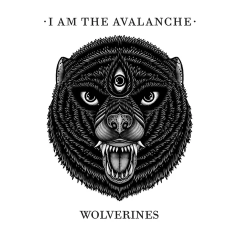 CD WOLVERINES