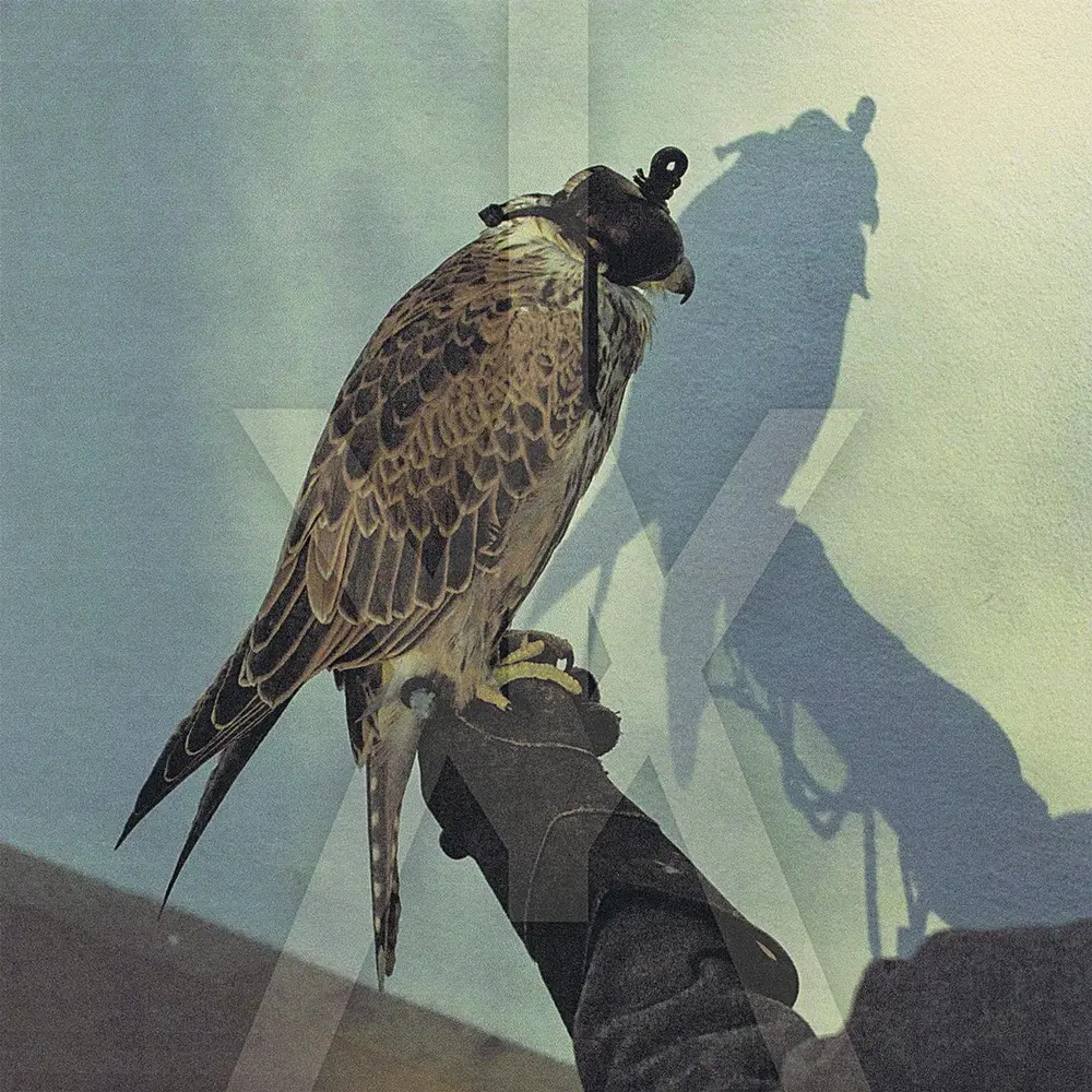Iceage – YOU'RE NOTHING (CD)