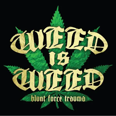 BLUNT FORCE TRAUMA