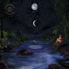 Vinyl WELLSPRING