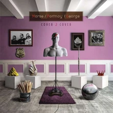Vinyl Cover 2 Cover (Re-Mastered 2020)