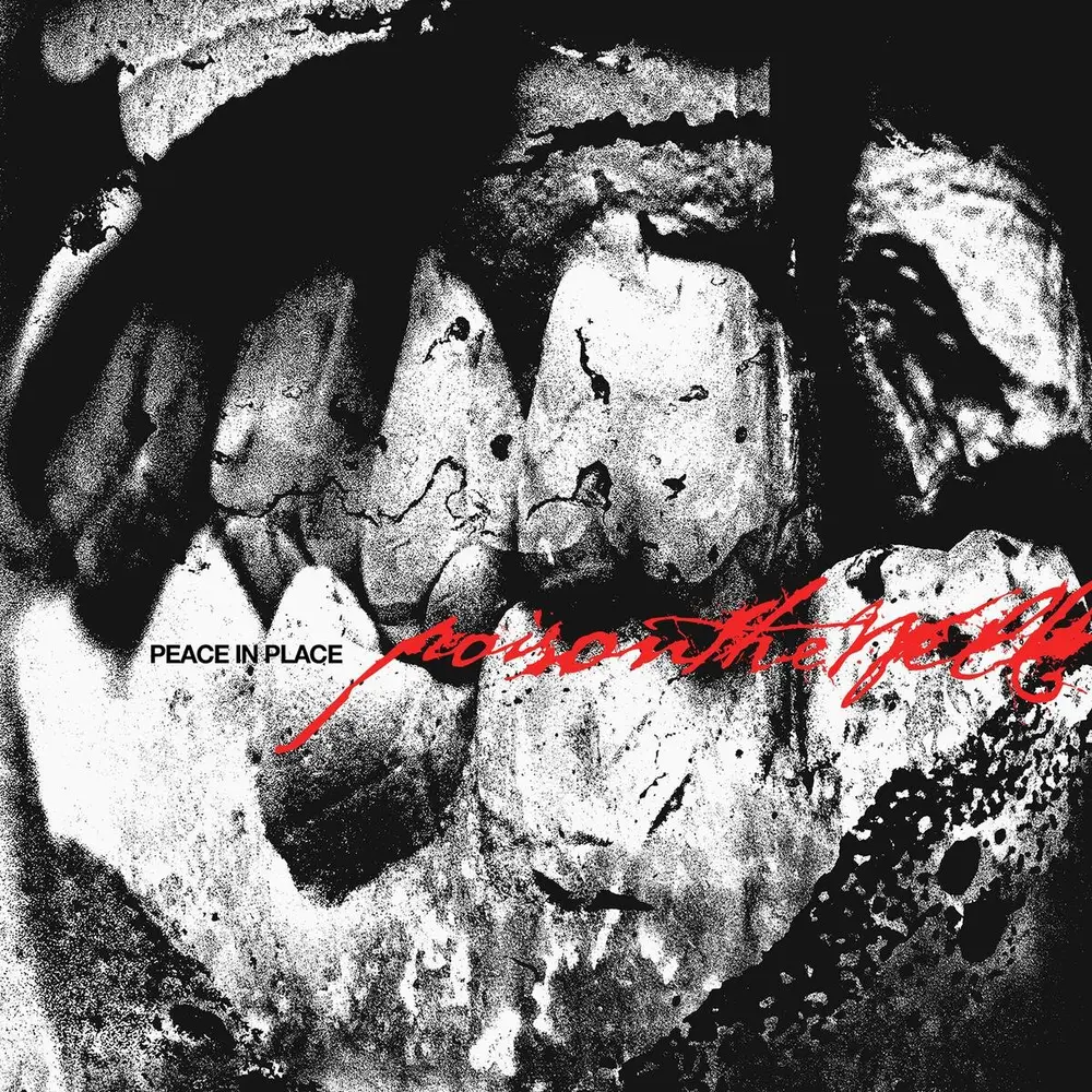 Poison the Well – PEACE IN PLACE (Vinyl)