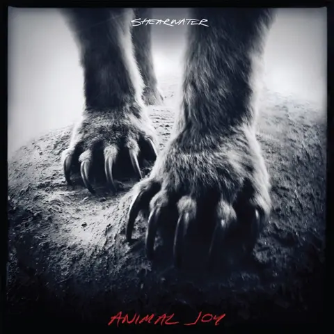 ANIMAL JOY