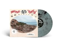 Landowner, Vinyl ASSUMPTION