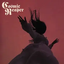 Cosmic Reaper, Vinyl BLEED THE WICKED, DROWN THE DAMNED