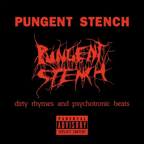 DIRTY RHYMES AND PSYCHOTRONIC