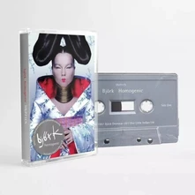 Björk, Kazeta HOMOGENIC