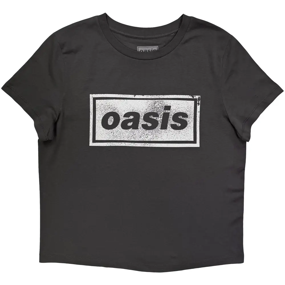 Ladies T-Shirt: Paint Logo (Charcoal Grey) (Ex-Tour)