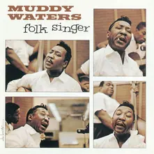 Muddy Waters, Vinyl FOLK SINGER