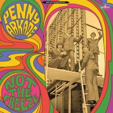 Penny Arkade, Vinyl NOT THE FREEZE