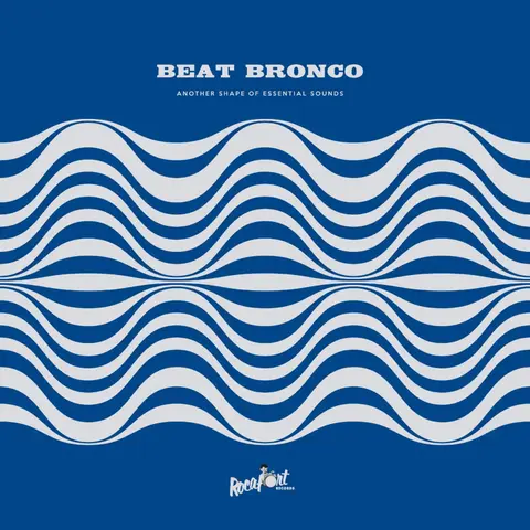 Beat Bronco Organ Trio – Vinyl ANOTHER SHAPE OF ESSENTIAL SOUNDS