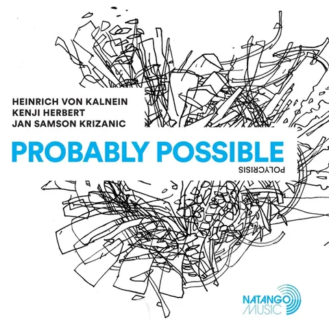 PROBABLY POSSIBLE