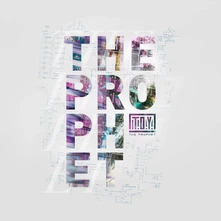 Vinyl T.O.Y. - THE PROPHET