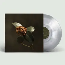 St. Paul and The Broken Bones – YOUNG SICK CAMELLIA (Vinyl)