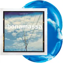 Vinyl A NEW DAY NOW