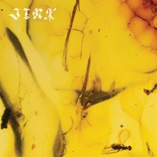 Crumb, Vinyl JINX