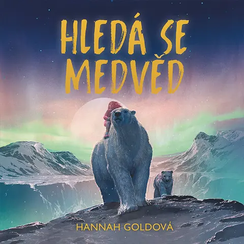 Hledá se medvěd (Čte Štvrtecká Jana) - MP3-CD