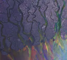 AN AWESOME WAVE (2022)