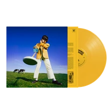 Declan McKenna, Vinyl What Happened To the Beach?