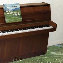 Grandaddy, Vinyl THE SOPHTWARE SLUMP ..... ON A WOODEN PIANO