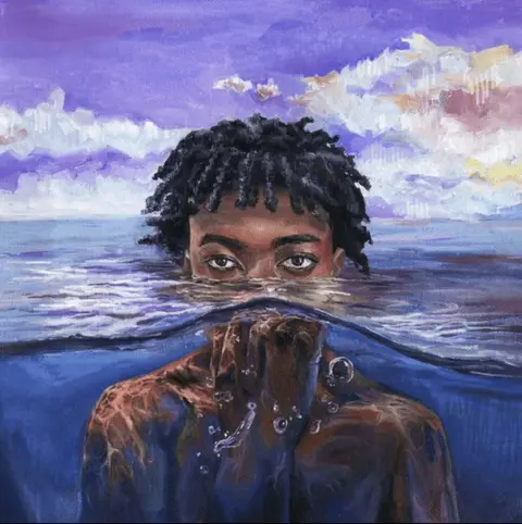 Redveil – Vinyl Learn 2 Swim
