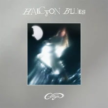 CD HALCYON BLUES