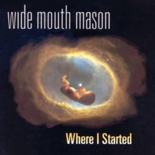 Wide Mouth Mason, Vinyl WHERE I STARTED