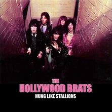 Vinyl HUNG LIKE STALLIONS